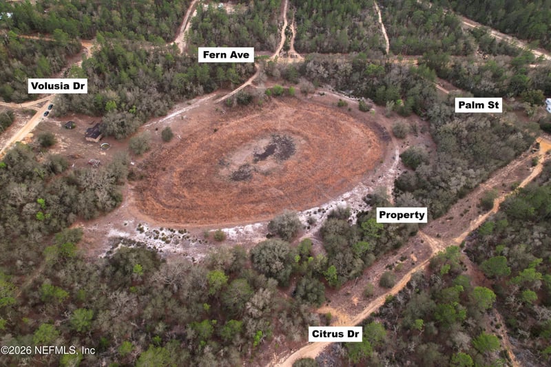 00000 Citrus Dr, Interlachen, FL 32148