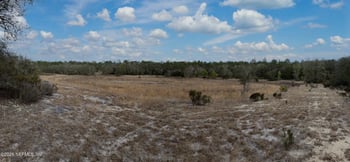 00000 Citrus Dr, Interlachen, FL 32148