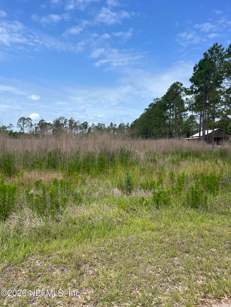 5950 Sweet Moody Rd, Green Cove Springs, FL 32043