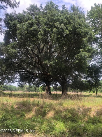 5950 Sweet Moody Rd, Green Cove Springs, FL 32043
