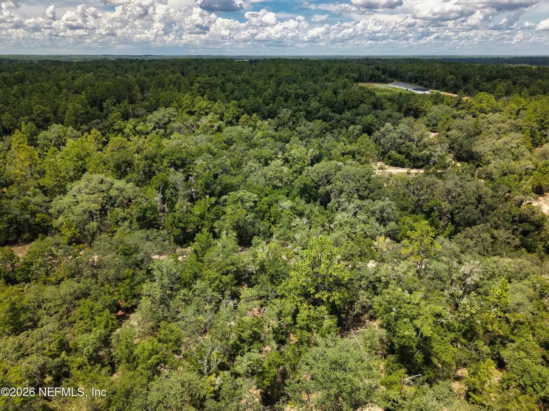 342 Mississippi Ave, Hawthorne, FL 32640