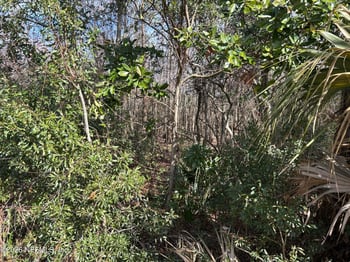 Beach Blvd, Jacksonville, FL 32224