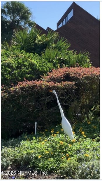 2277 Seminole Rd #D, Atlantic Beach, FL 32233