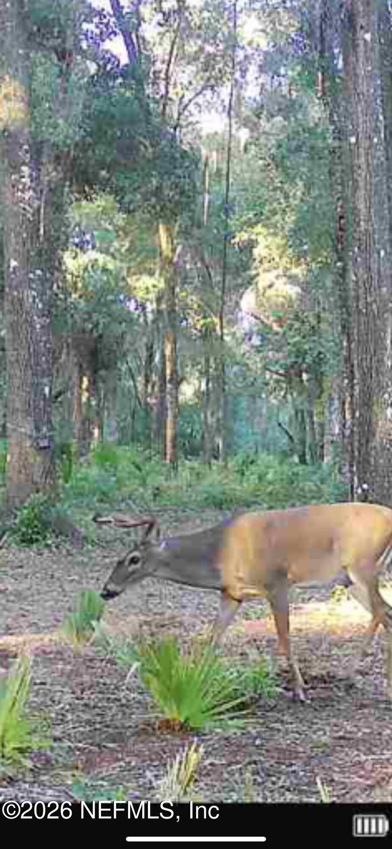 654 Old Welaka Rd, Welaka, FL 32193