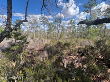 131 Quail Way, Hawthorne, FL 32640