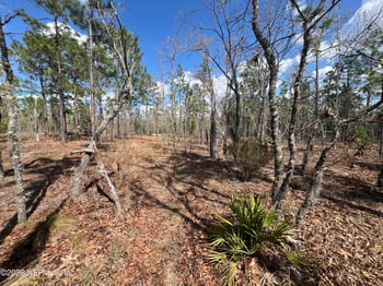 143 Quail Way, Hawthorne, FL 32640