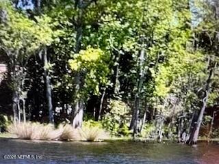 4317 Ortega Farms Cir, Jacksonville, FL 32210