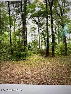 4317 Ortega Farms Cir, Jacksonville, FL 32210