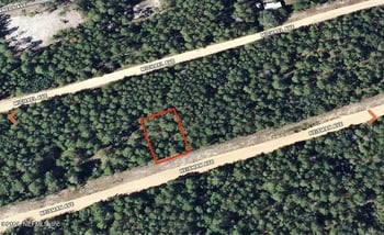 Neisman Ave, Interlachen, FL 32148