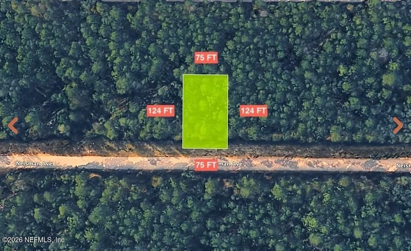 0 Neisman Ave, Interlachen, FL 32148