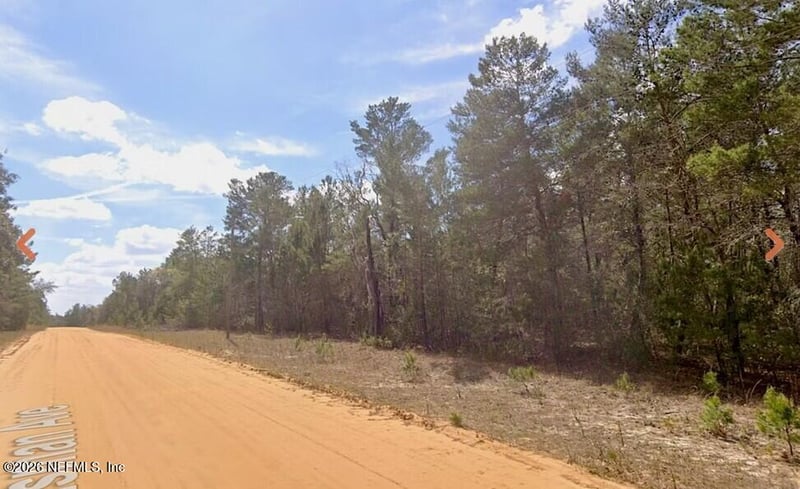 0 Neisman Ave, Interlachen, FL 32148