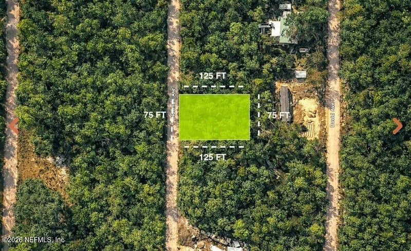 0 Norman Ave, Interlachen, FL 32148