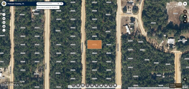 00 Del Monaco Ave, Interlachen, FL 32148