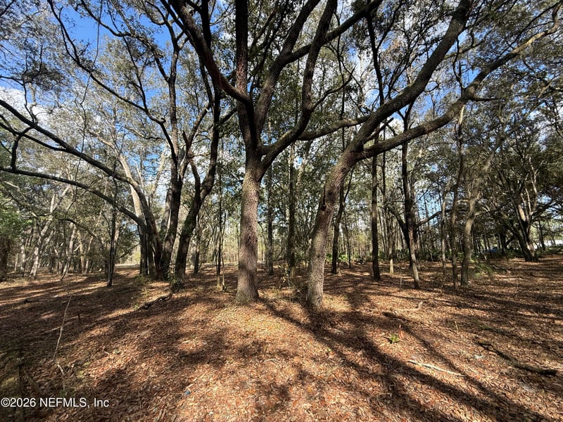 9094 50th Ave, Hampton, FL 32044