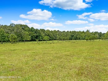 Black Creek Dr, Middleburg, FL 32068