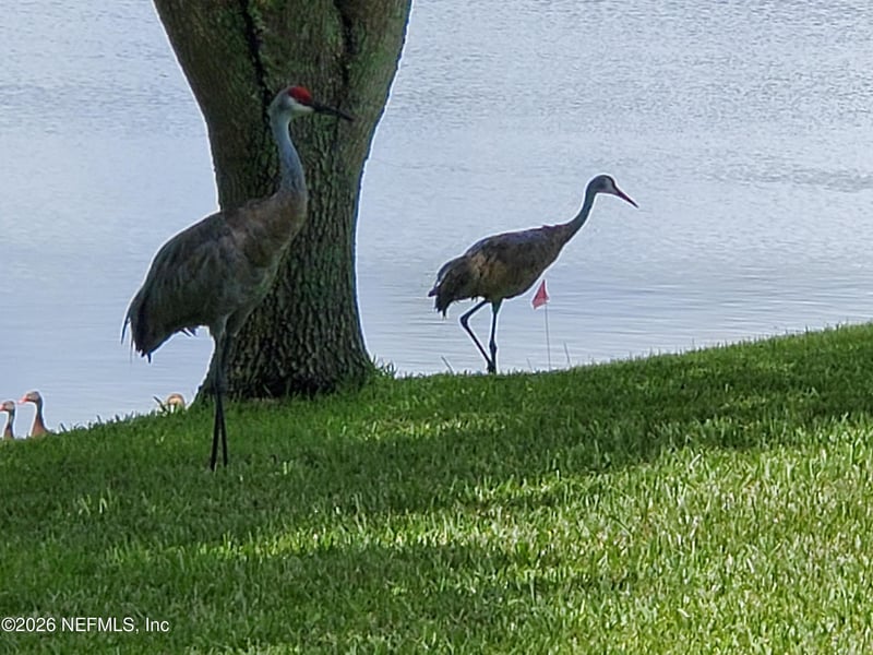 6711 Dickinson Terr Ter, Port St Lucie, FL 34952