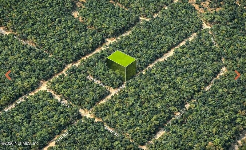 0 Nell Rd, Interlachen, FL 32148