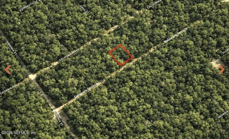 0 Delaware Ter, Interlachen, FL 32148