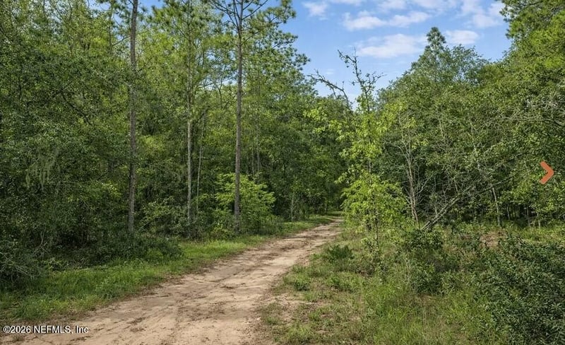 0 Delaware Ter, Interlachen, FL 32148