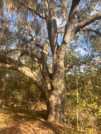 West Lake Dr, Hawthorne, FL 32640