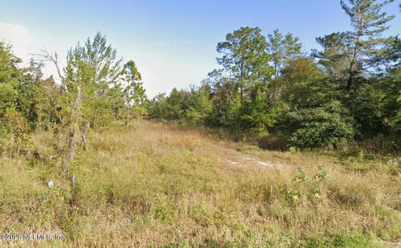 0 Cypress Trl, Interlachen, FL 32148