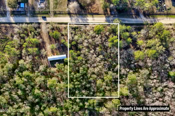 10250 Zigler Ave, Hastings, FL 32145