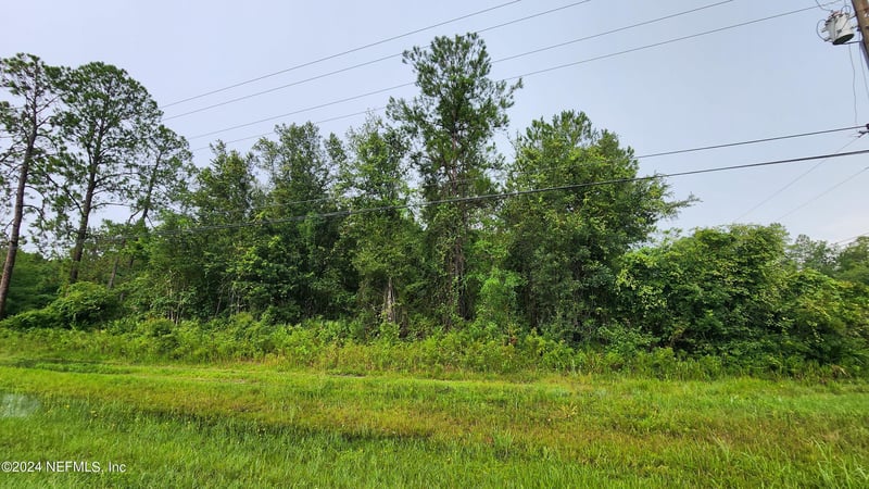 2171 Cosmos Ave, Middleburg, FL 32068