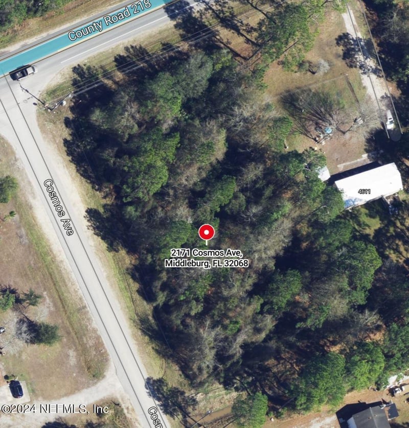 2171 Cosmos Ave, Middleburg, FL 32068