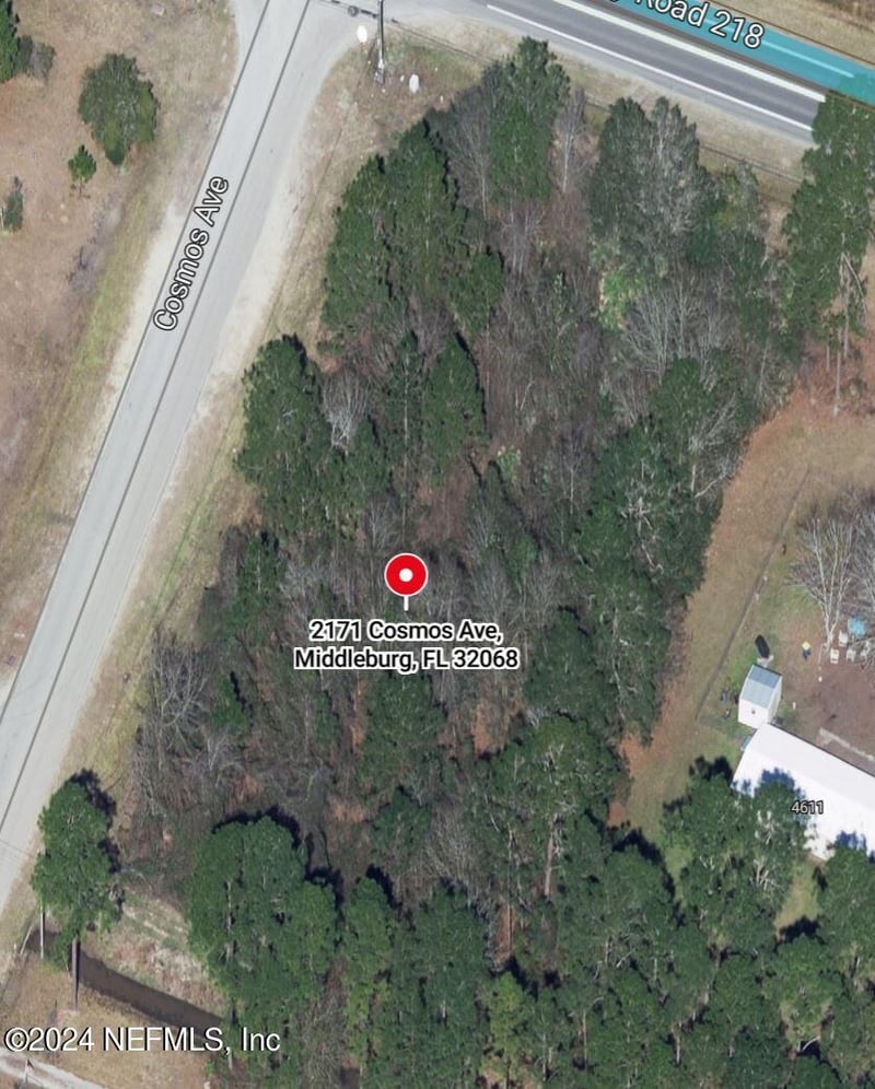 2171 Cosmos Ave, Middleburg, FL 32068