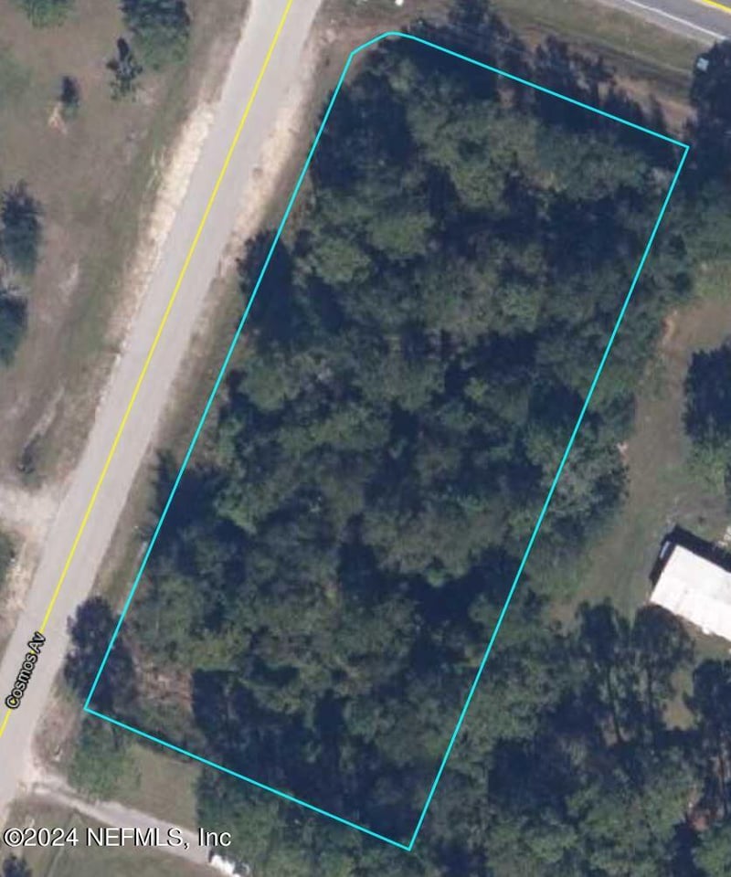 2171 Cosmos Ave, Middleburg, FL 32068