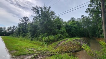 2171 Cosmos Ave, Middleburg, FL 32068