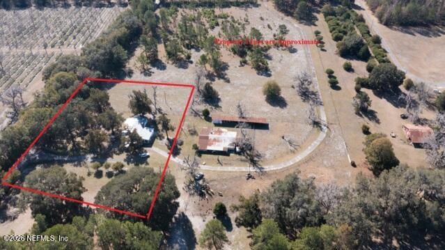 13224 199th St, Waldo, FL 32694