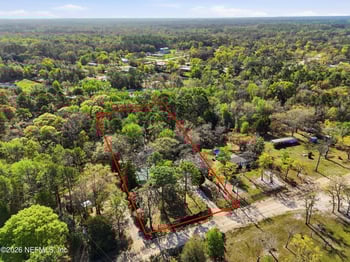 157 Plankton Ave, Middleburg, FL 32068