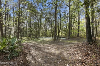 157 Plankton Ave, Middleburg, FL 32068