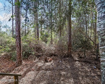 20 Dolphin Ave, Middleburg, FL 32068