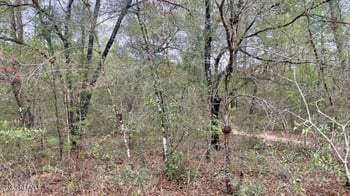 6345 Antioch Ave, Keystone Heights, FL 32656