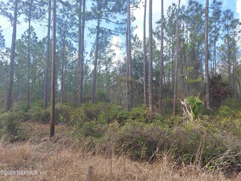 1758 State Road 19, Palatka, FL 32177