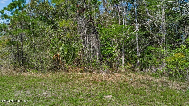 0 Detaille Dr, Jacksonville, FL 32209