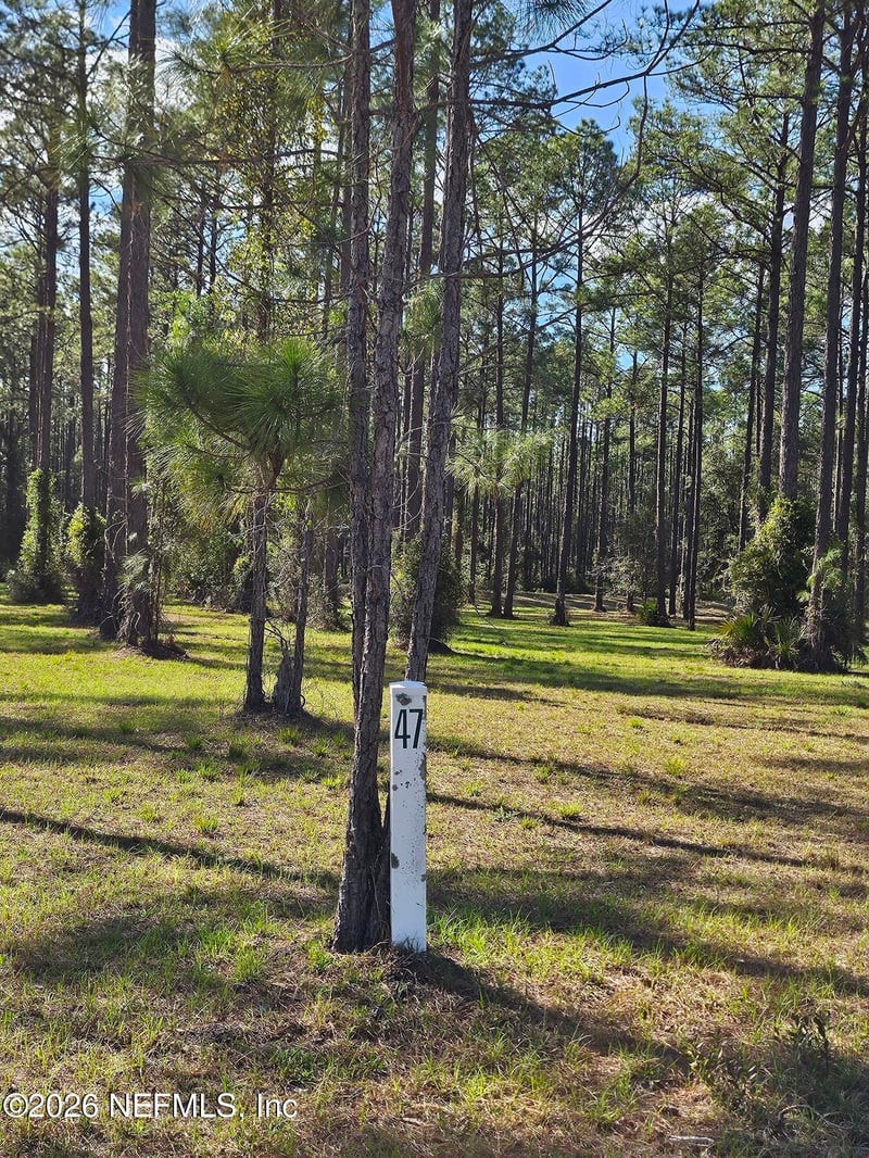 10149 Kings Crossing Dr, Jacksonville, FL 32219