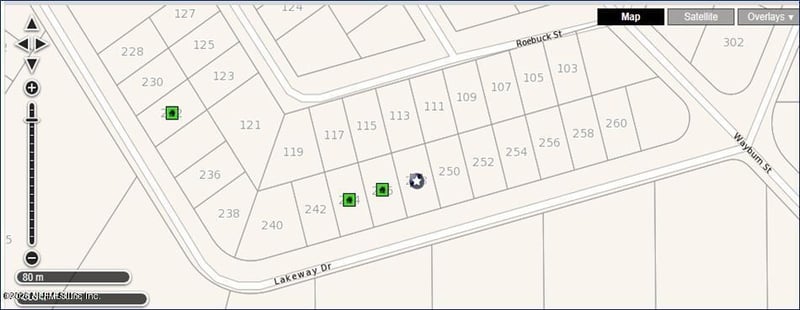 248 Lakeway Dr, Georgetown, FL 32139