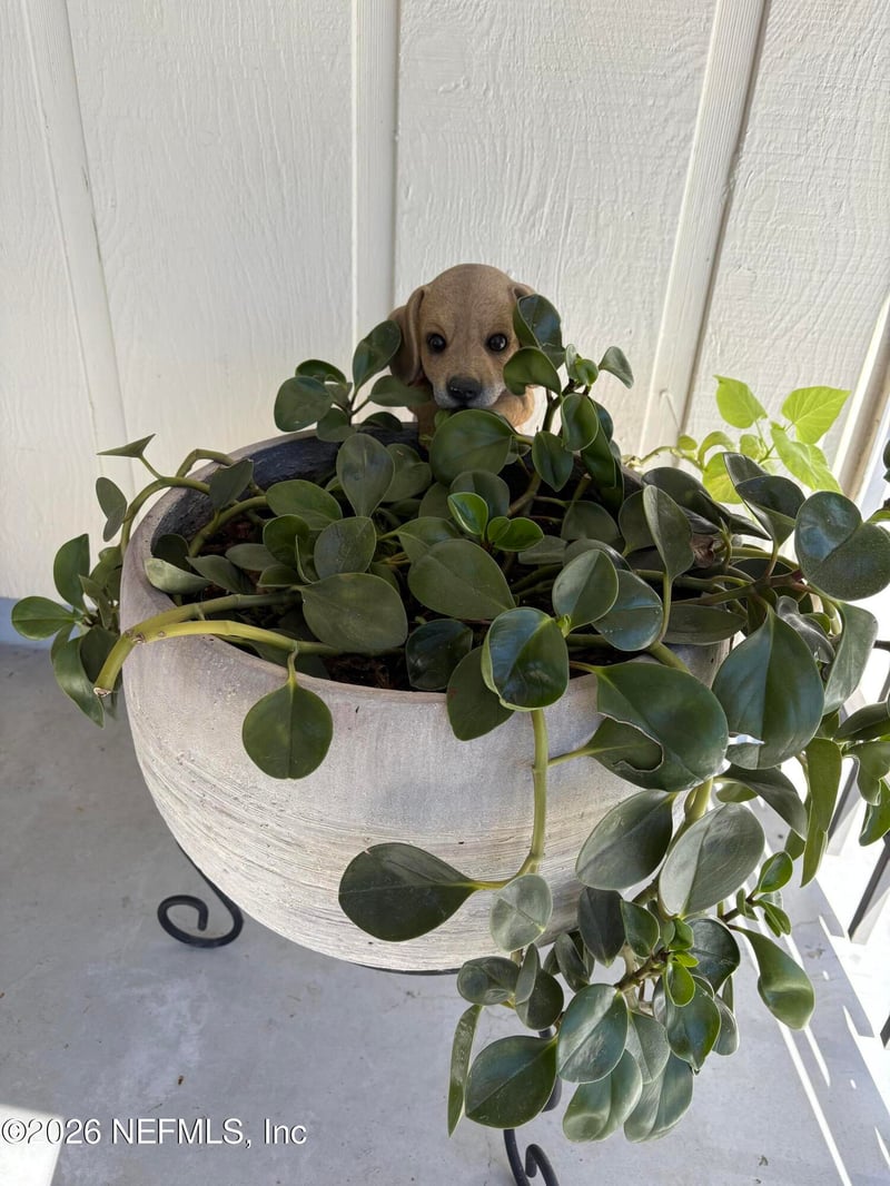 791 Westgate Dr, Jacksonville, FL 32221