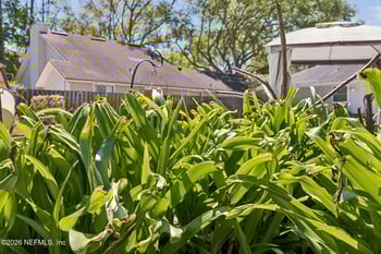 4111 Nakema Dr, Jacksonville, FL 32257