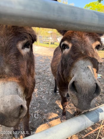 85276 Harts Rd, Yulee, FL 32097