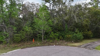 Detaille Dr, Jacksonville, FL 32209