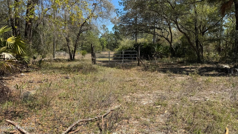 1132 Cousintown Rd, Interlachen, FL 32148