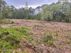 348 Georgetown Denver Rd, Georgetown, FL 32139