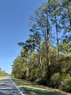 251 Georgetown Denver Rd, Georgetown, FL 32139