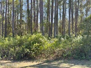 251 Georgetown Denver Rd, Georgetown, FL 32139