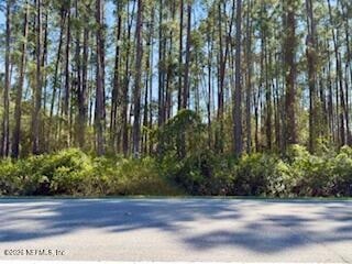 251 Georgetown Denver Rd, Georgetown, FL 32139