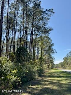 251 Georgetown Denver Rd, Georgetown, FL 32139